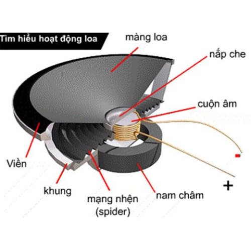 Các thành phần cấu tạo của loa rời